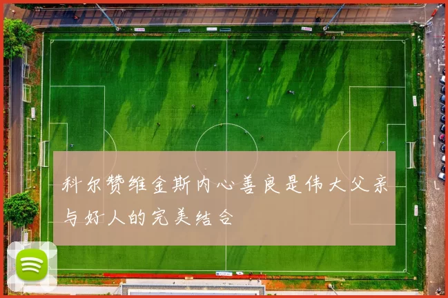 科尔赞维金斯内心善良是伟大父亲与好人的完美结合
